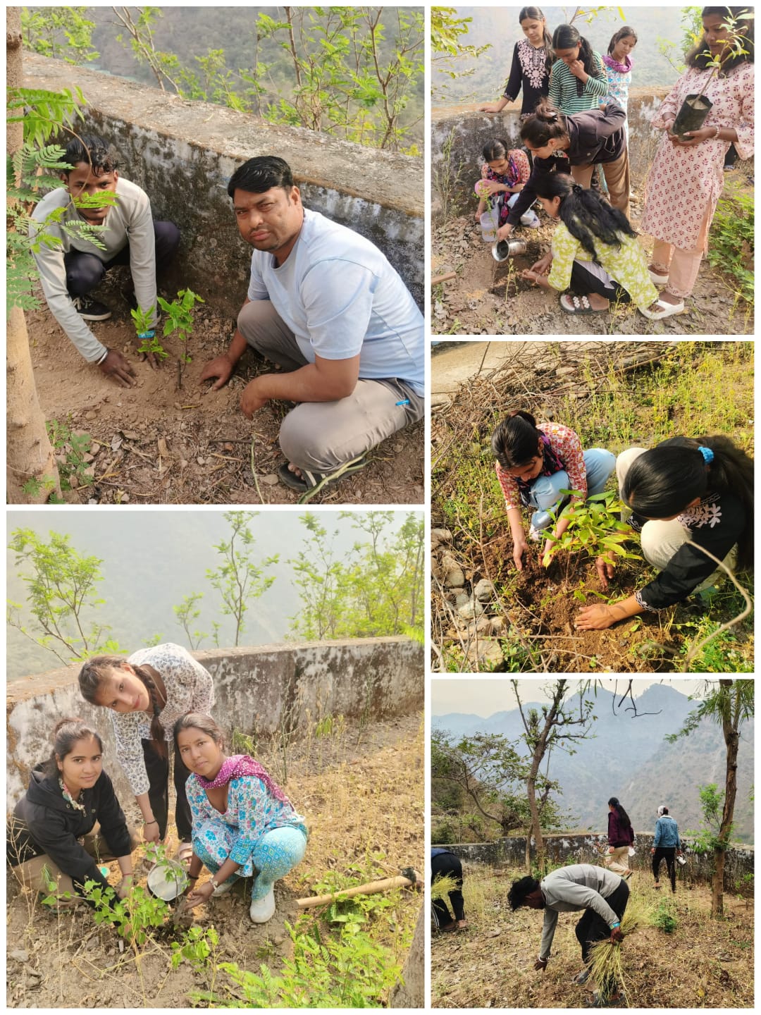 महाविद्यालय देवप्रयाग के स्वयंसेवकों ने वृक्षारोपण कर लगाए फलदार एवं छायादार वृक्ष