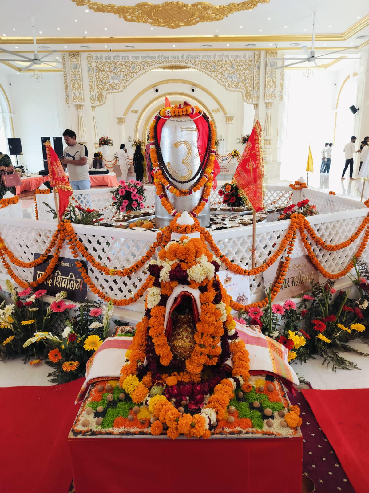 हरिद्वार में 5211 किलो वजनी विश्व के विशाल पारद शिवलिंग की प्राण प्रतिष्ठा सम्पन्न