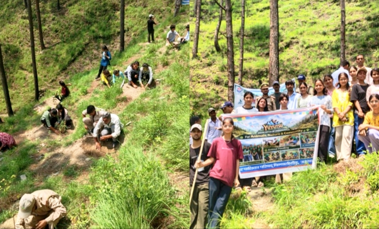 राजकीय महाविद्यालय चिन्यालीसौड़़ के राष्ट्रीय सेवा योजना स्वयंसेवकों ने किया वृक्षारोपण